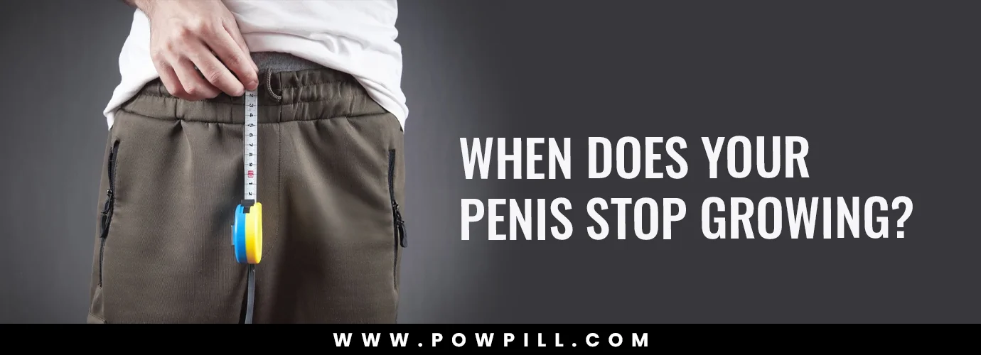 When Does Your Penis Stop Growing
